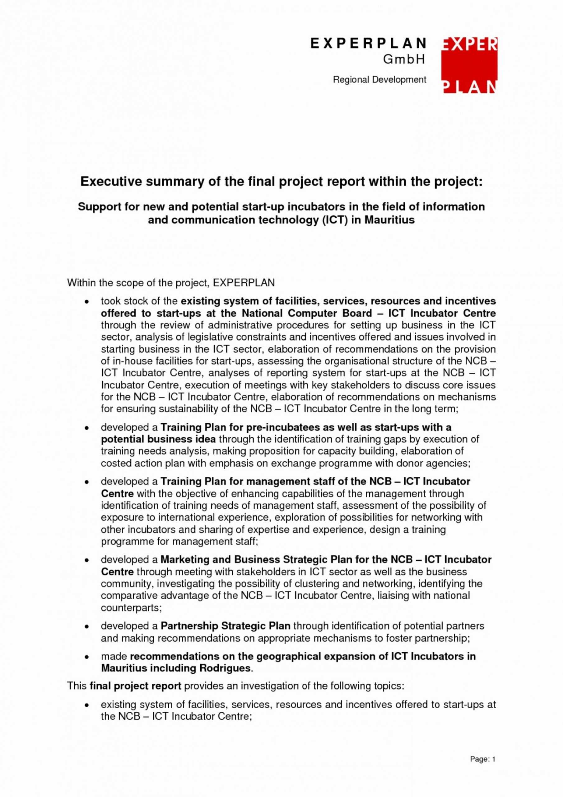 008 Project Management Executive Summary Report Template With Regard To Executive Summary Report Template