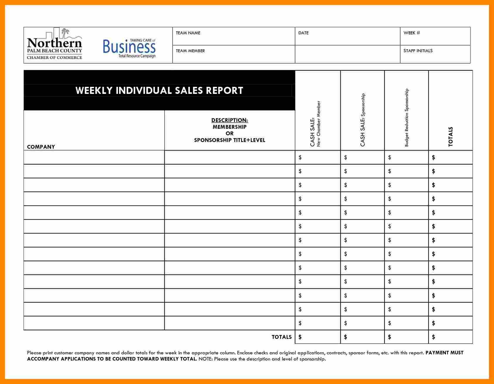 Daily Sales Call Report Template Free Download Sample Professional