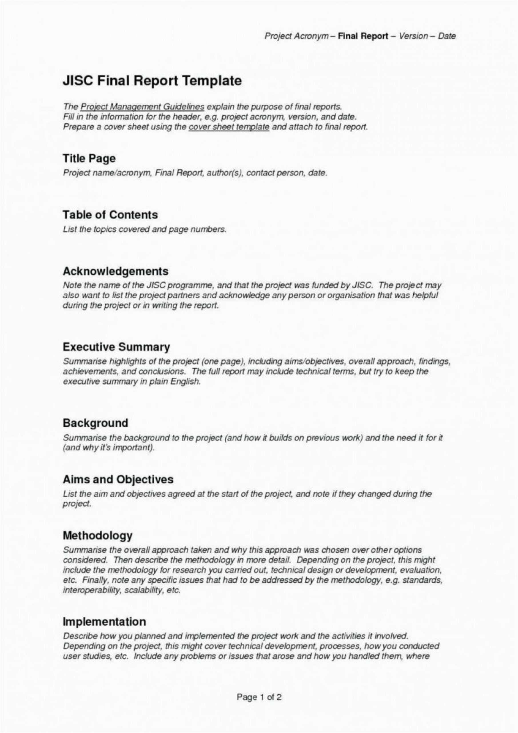023 Template Ideas Project Executive Summarynagement Example With Regard To Business Analyst Report Template