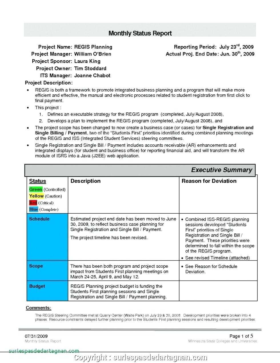 028 Monthly Sales Report Template Executive Manager Example Intended For Monthly Program Report Template
