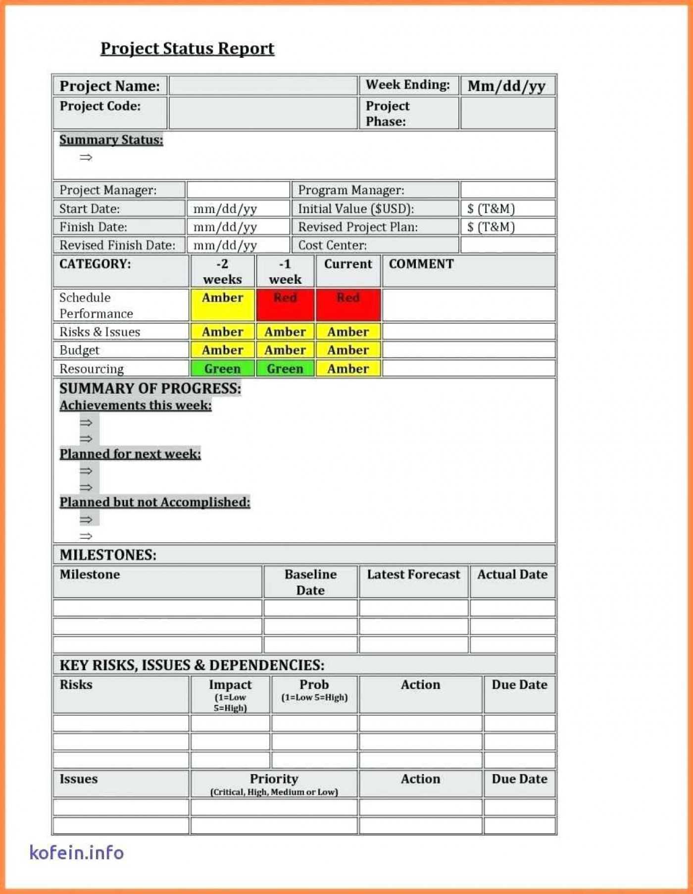 035 Project Status Report Template Excel Format Management Regarding Baseline Report Template