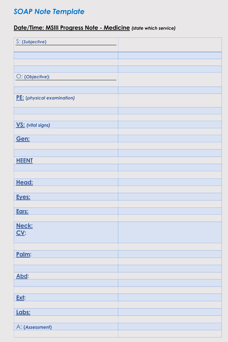 35+ Soap Note Examples (Blank Formats & Writing Tips) With Regard To Soap Note Template Word