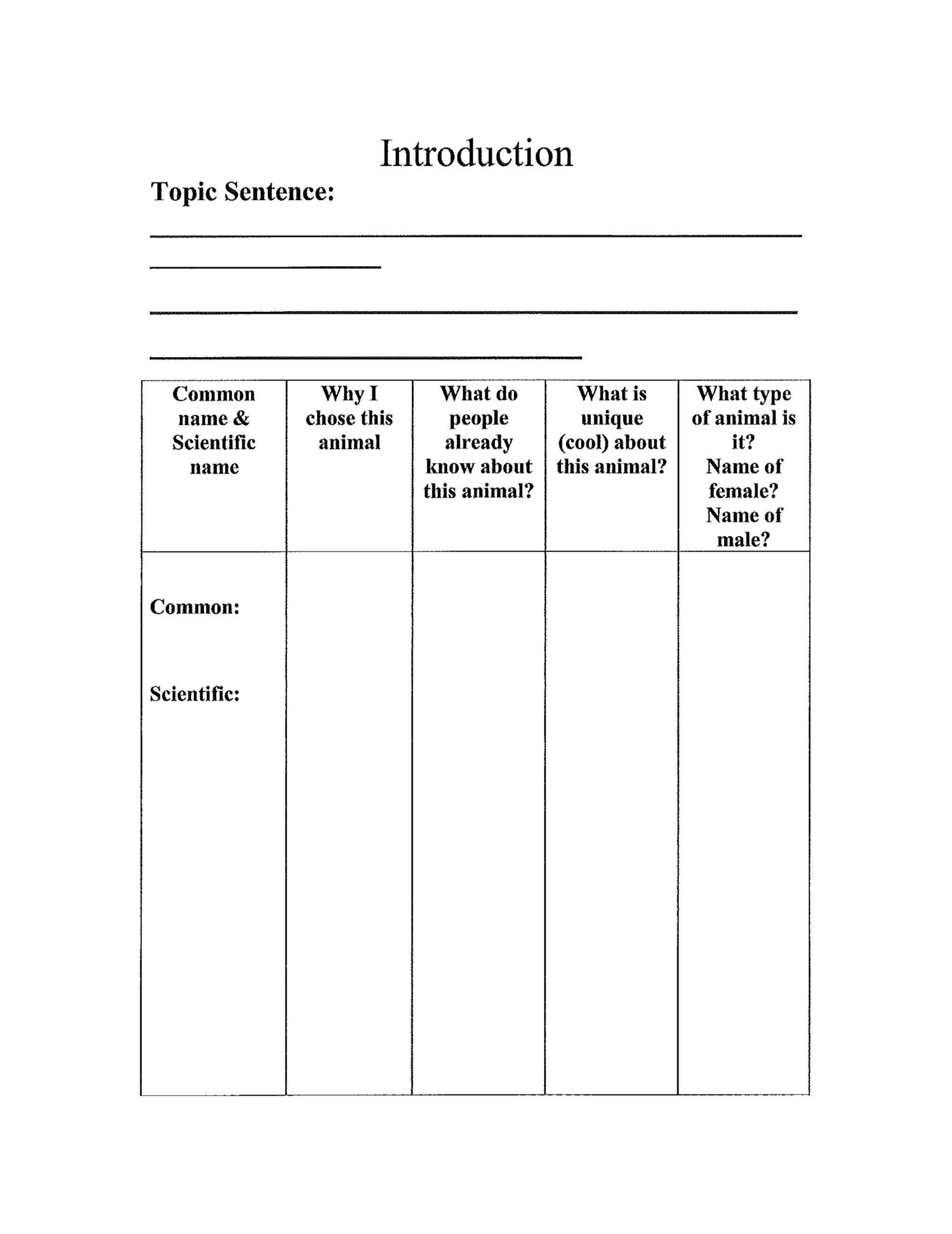 3Rd Grade Animal Report Template Free Download In Animal Report Template