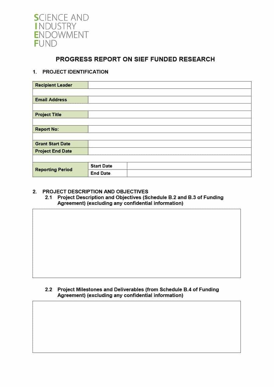 40+ Project Status Report Templates [Word, Excel, Ppt] ᐅ Regarding Research Project Report Template
