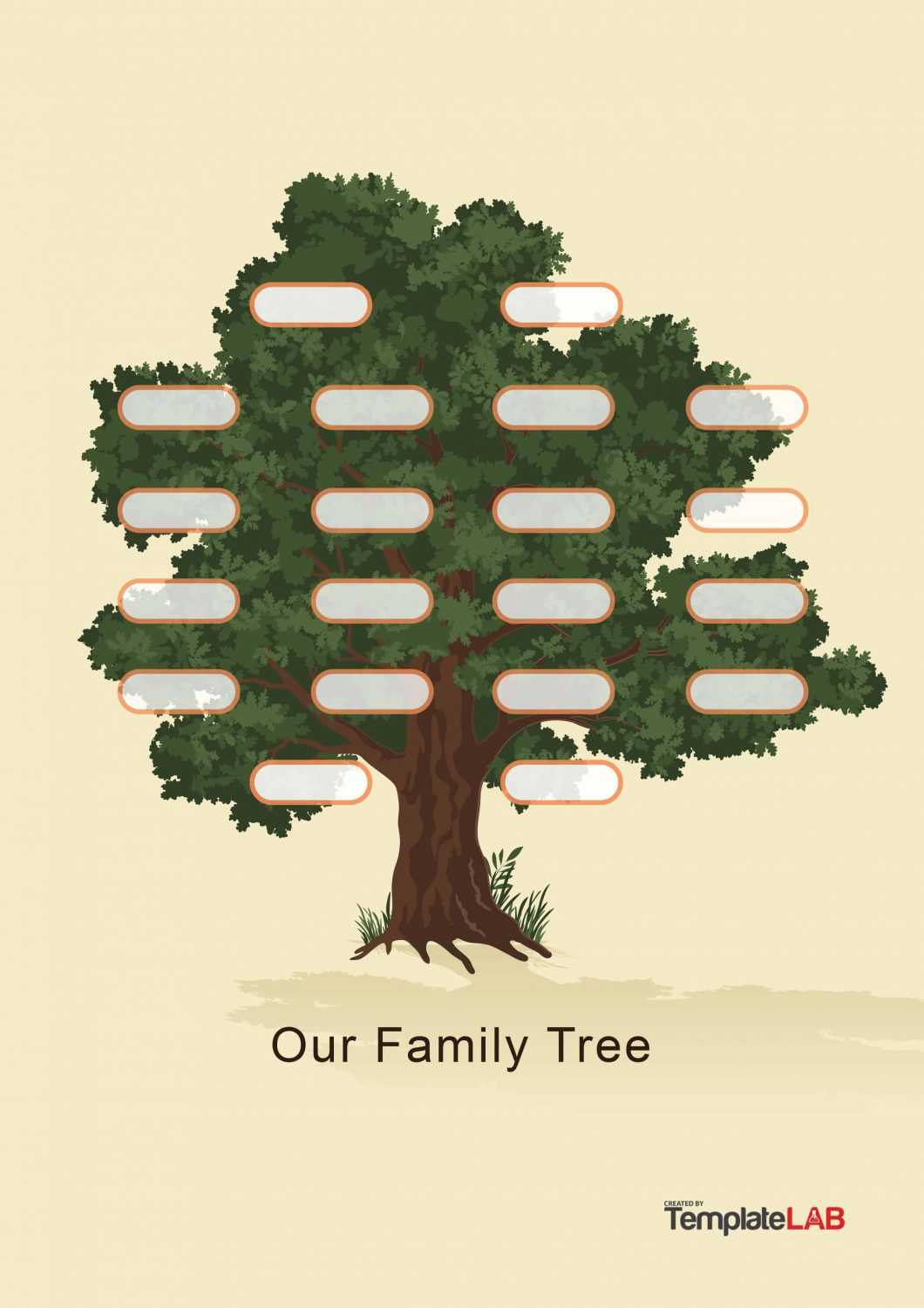 50+ Free Family Tree Templates (Word, Excel, Pdf) ᐅ Pertaining To 3 Generation Family Tree Template Word