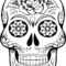 Best Coloring : Free Skull Anatomy Pages Muscular System In Blank Sugar Skull Template