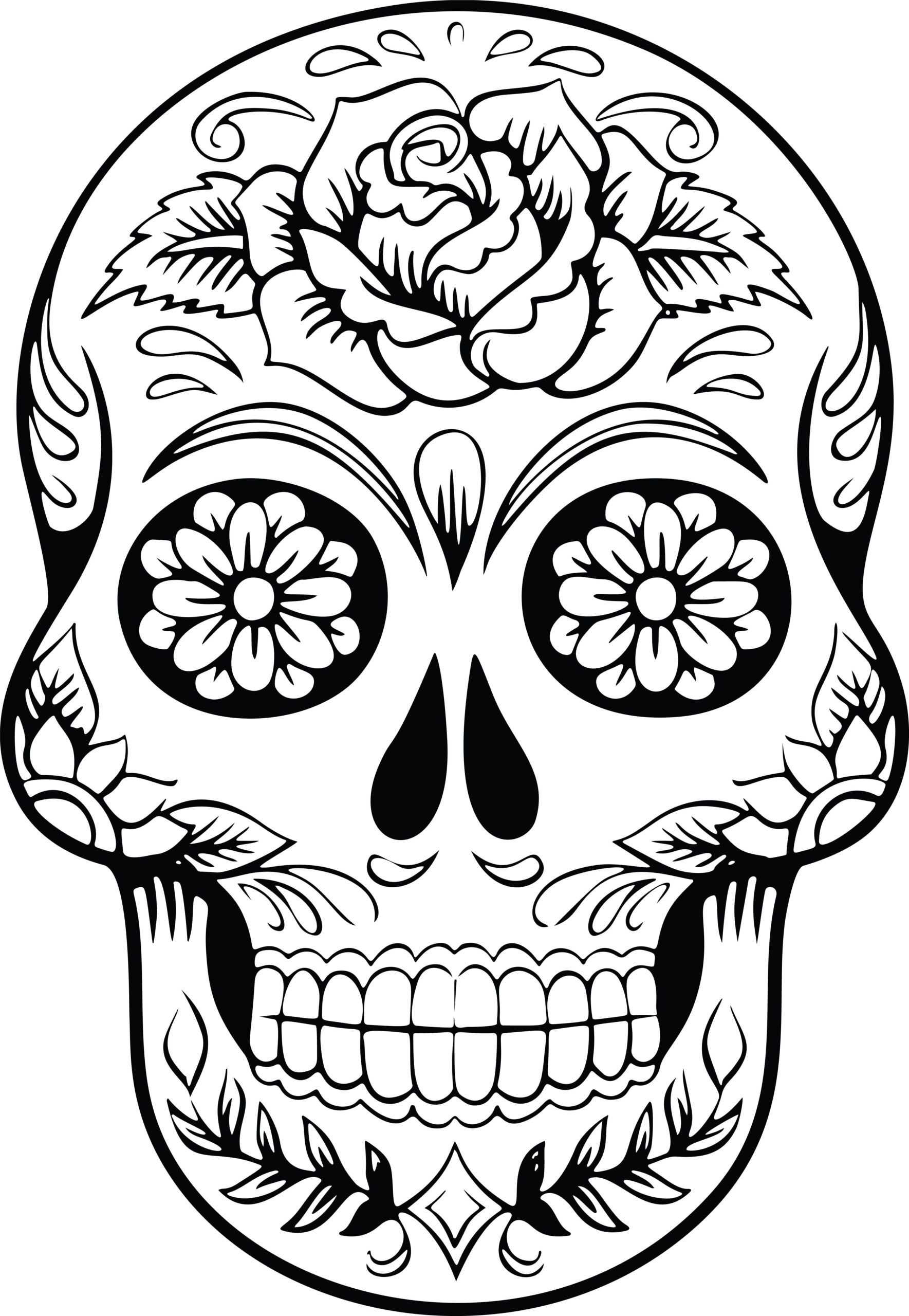 Best Coloring : Free Skull Anatomy Pages Muscular System In Blank Sugar Skull Template