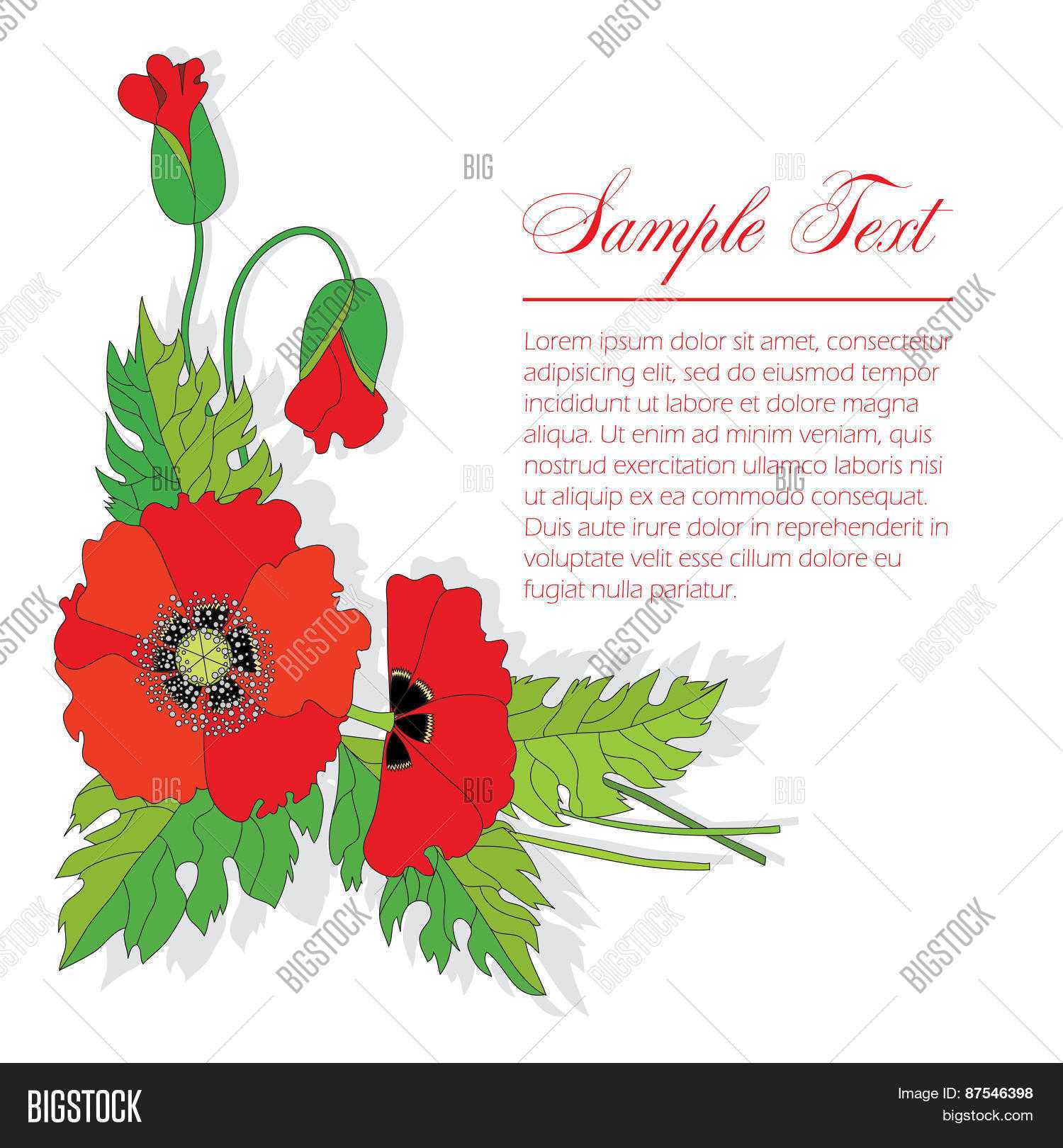 Bouquet Poppies Vector & Photo (Free Trial) | Bigstock With Regard To Congratulations Banner Template