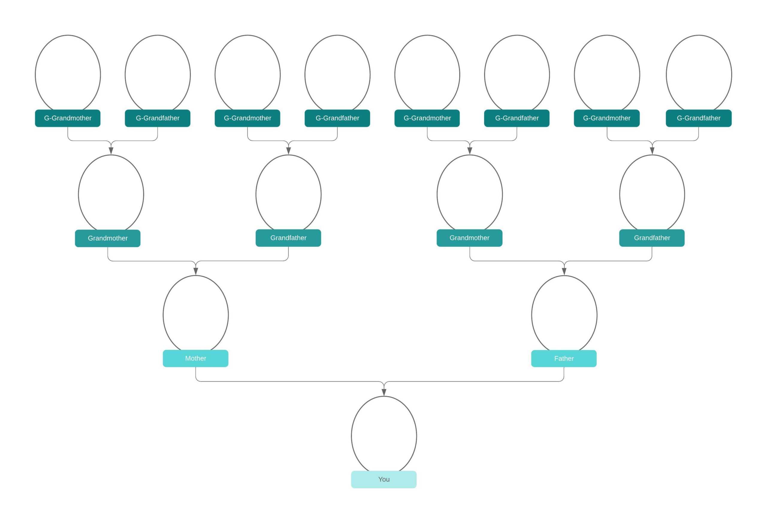 Family Tree Generator | Lucidchart With Regard To Blank Tree Diagram Template
