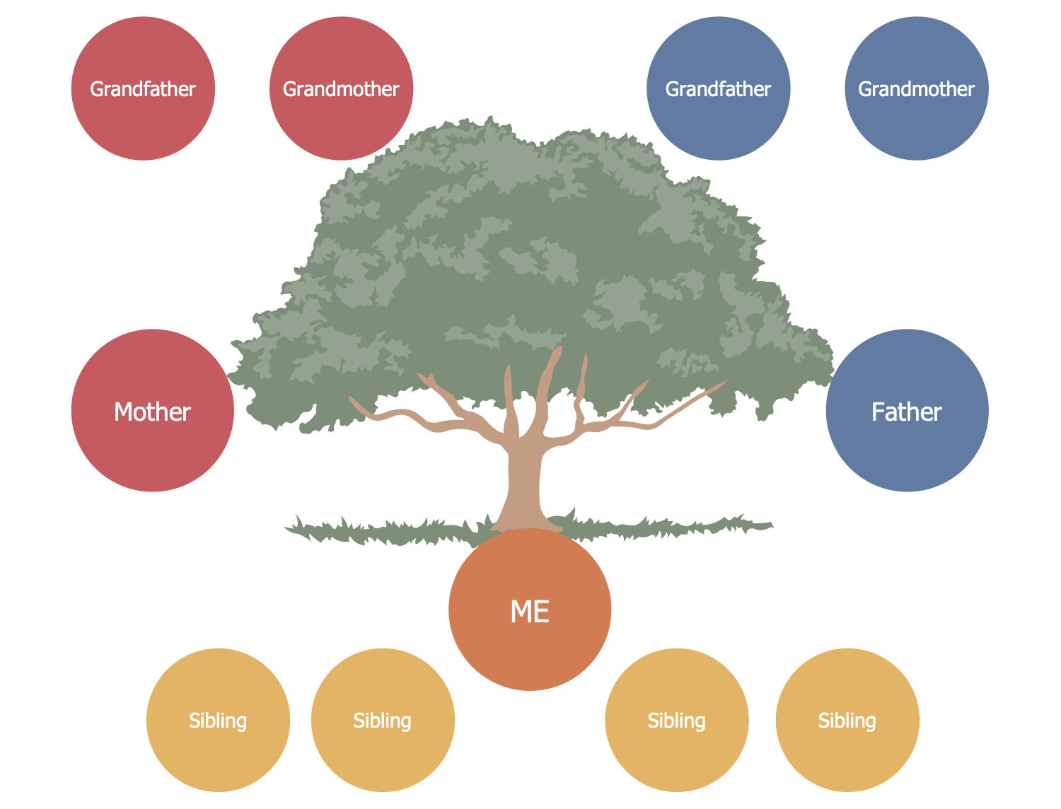 Family Tree Solution | Conceptdraw In 3 Generation Family Tree Template Word