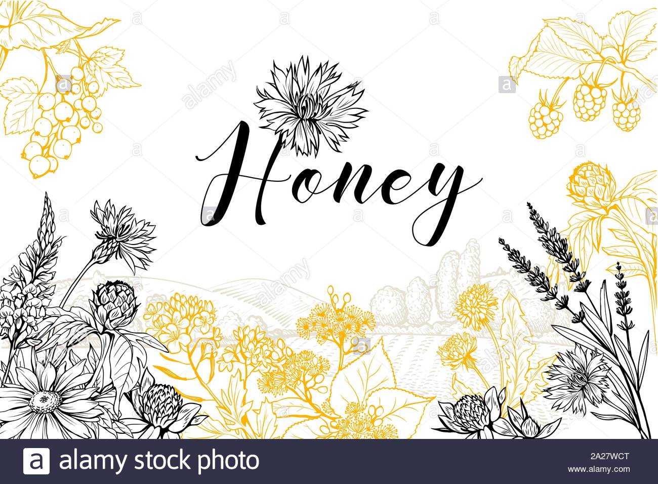 Flower Honey Vector Hand Drawn Banner Template. Natural Inside Homemade Banner Template