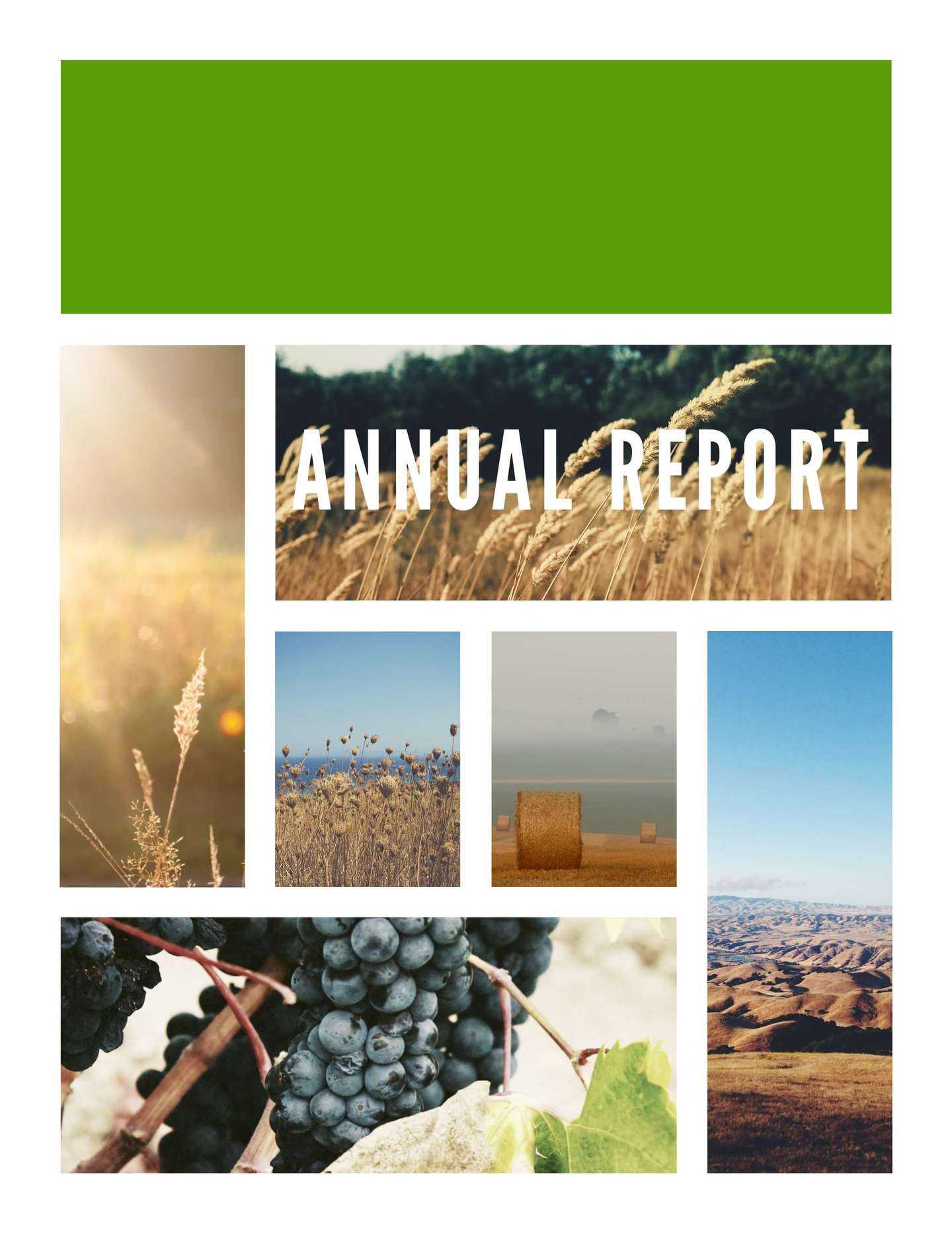 Free Annual Report Templates & Examples [6 Free Templates] With Regard To Annual Report Template Word Free Download