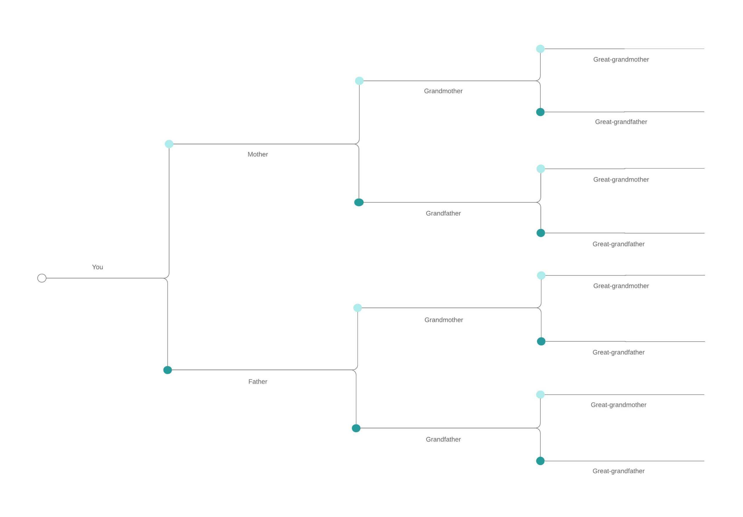 Geneology Template – Raptor.redmini.co With Regard To Blank Tree Diagram Template