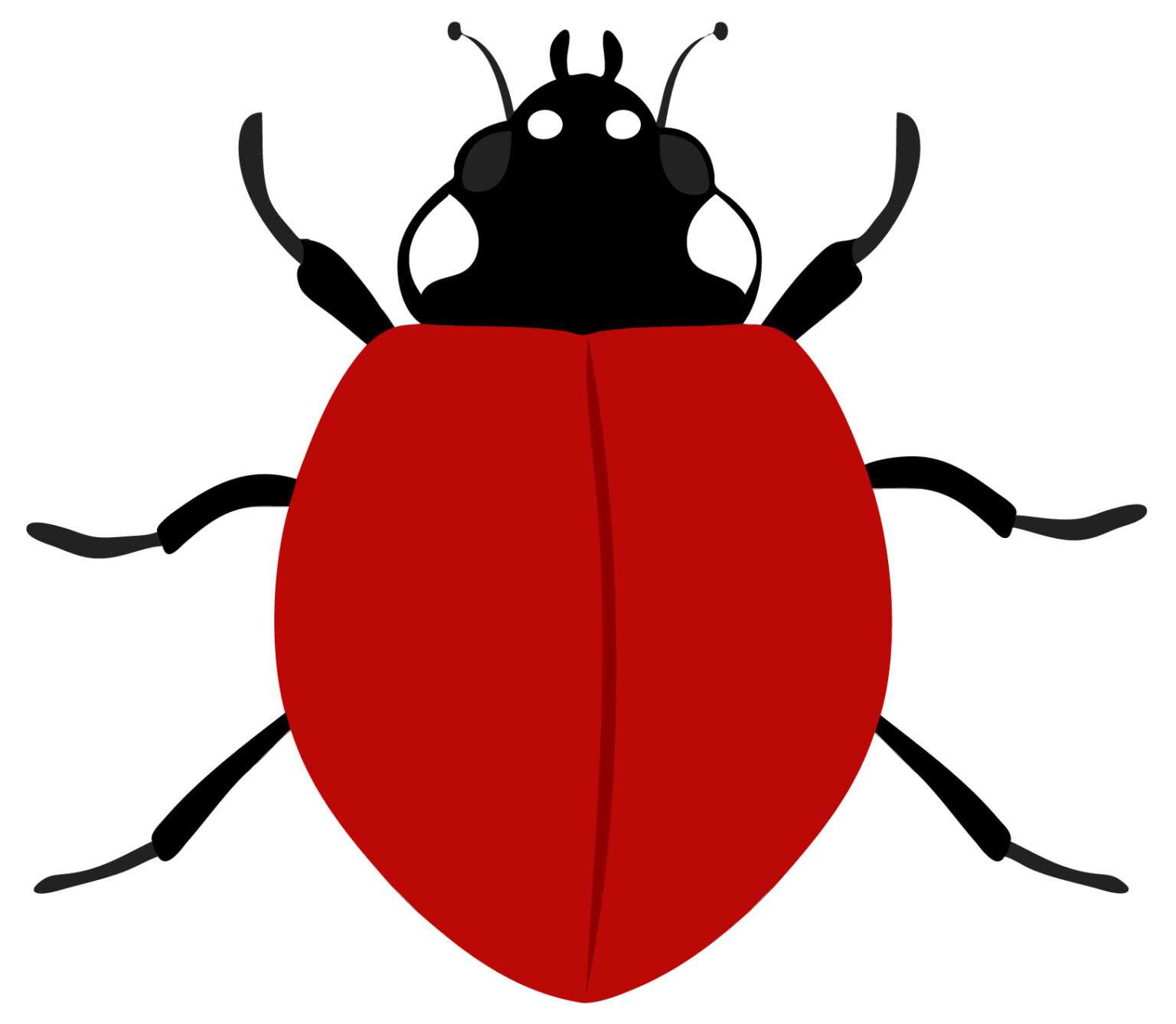 Blank Ladybug Template Sample Professional Template