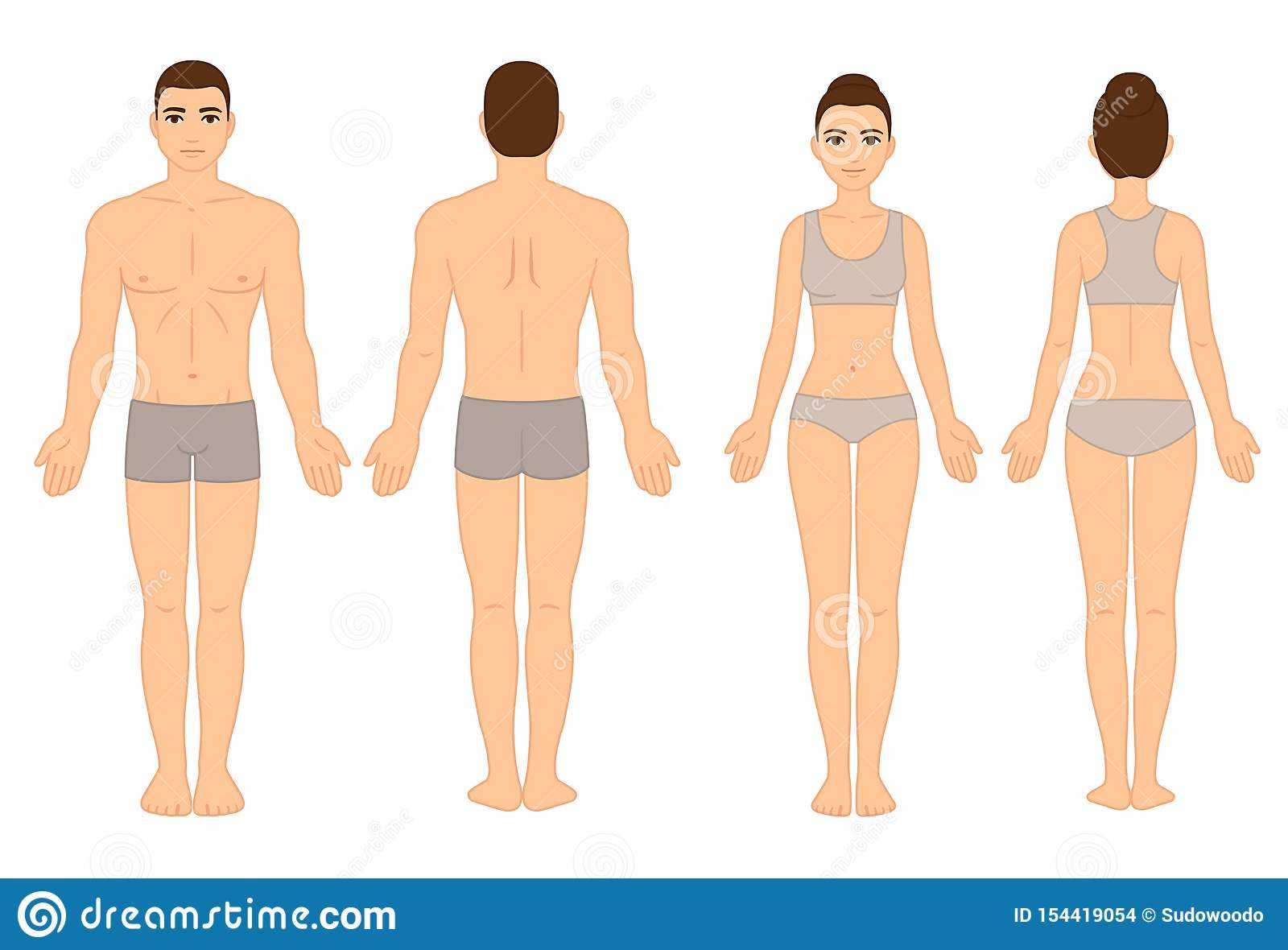Male And Female Body Chart Stock Vector. Illustration Of Regarding Blank Body Map Template