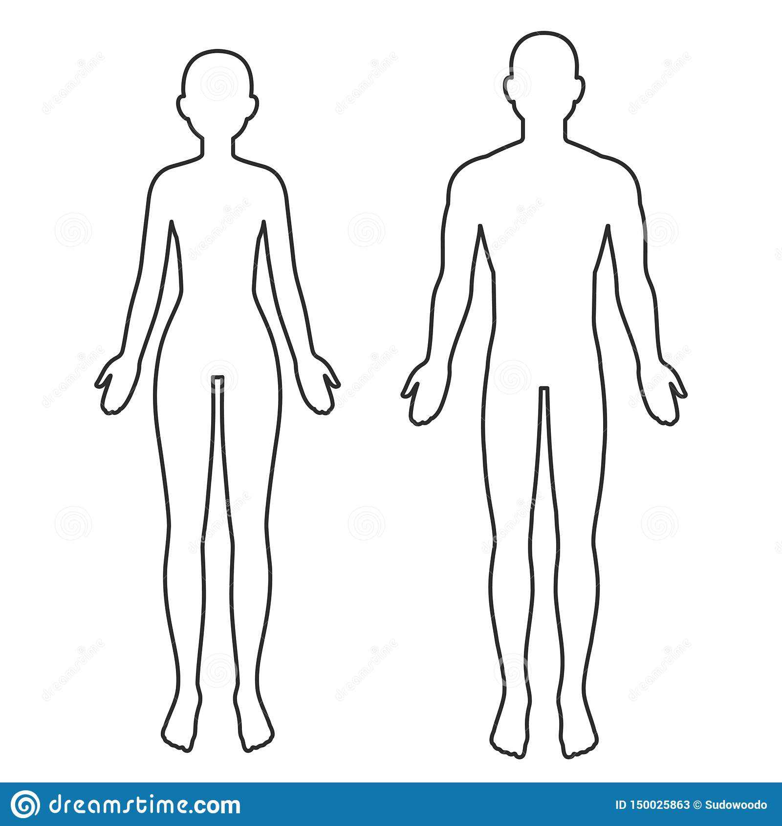 Male And Female Body Outline Stock Vector – Illustration Of For Blank Body Map Template