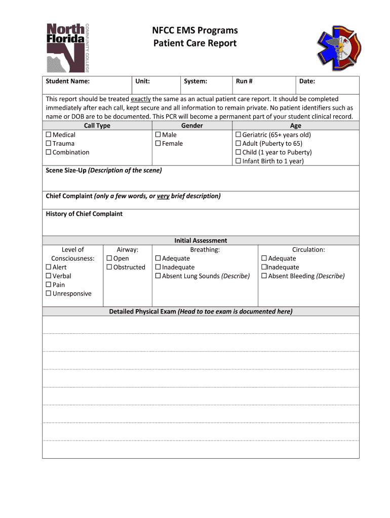 Patient Care Report – Fill Online, Printable, Fillable Inside Patient Care Report Template