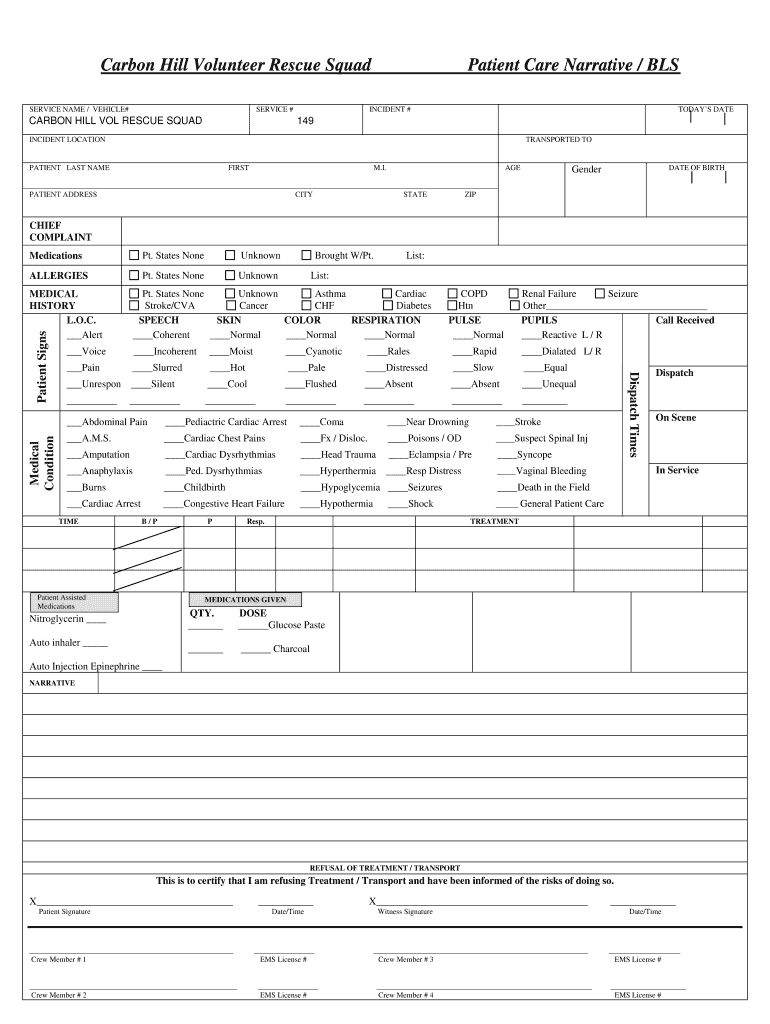 Patient Care Report Template Doc – Fill Online, Printable With Regard To Patient Care Report Template