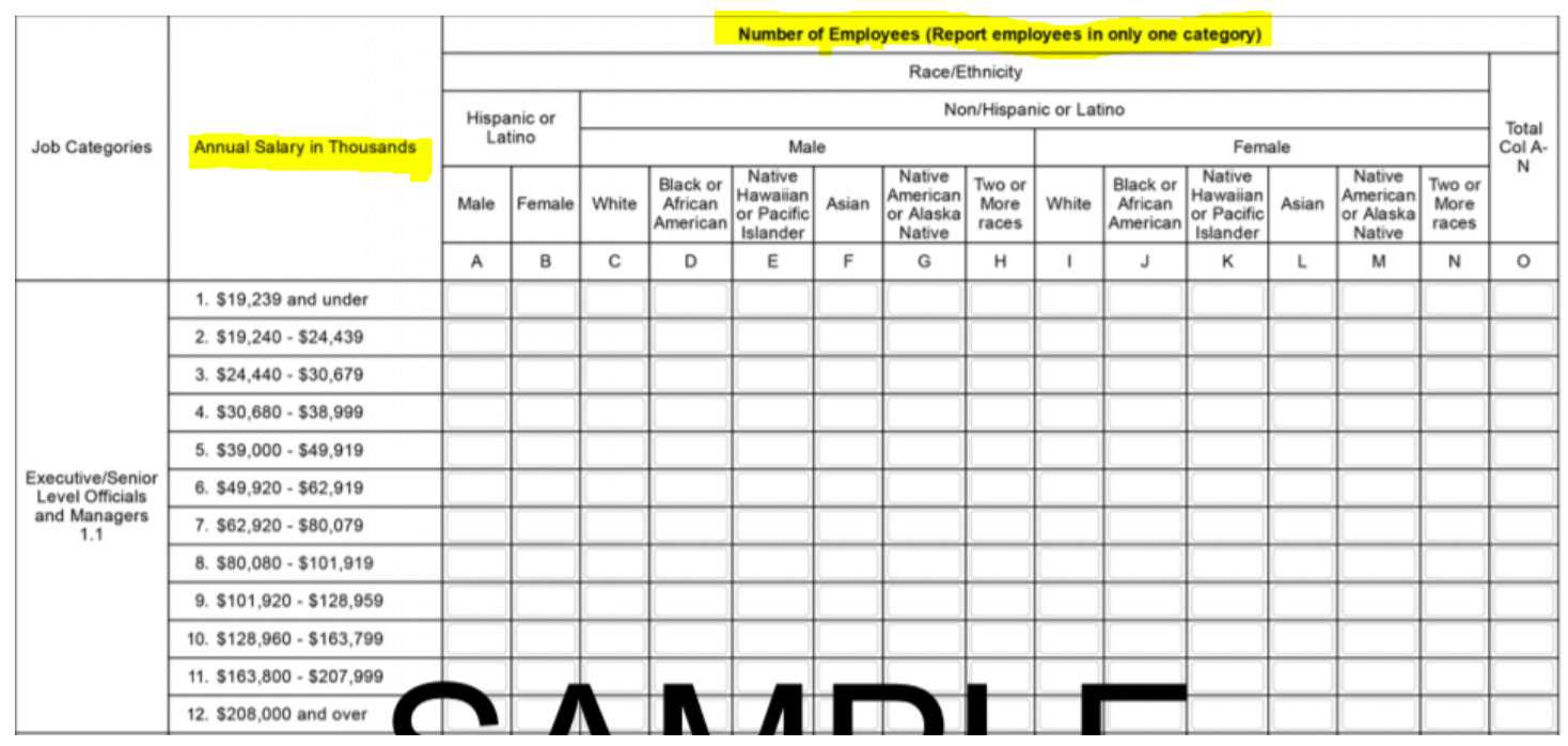 eeo-1-report-template