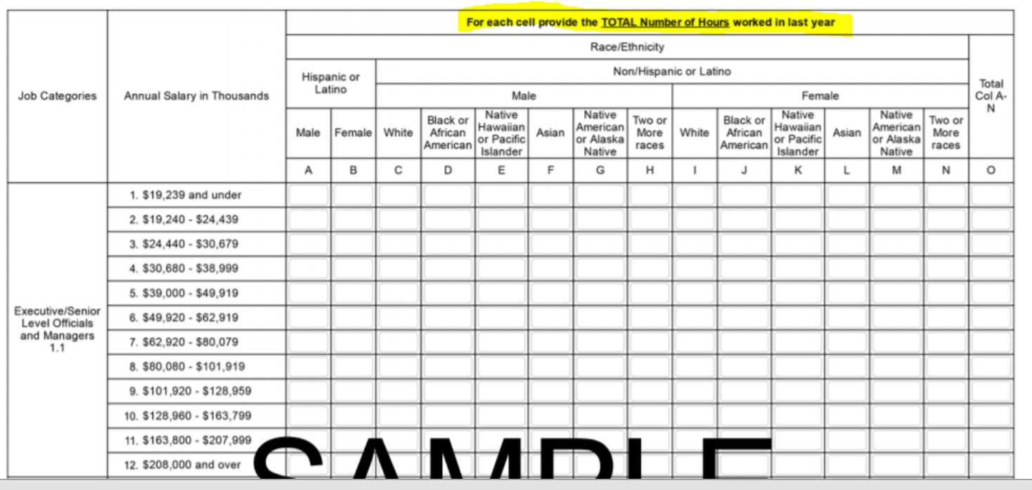 Eeo 1 Report Template