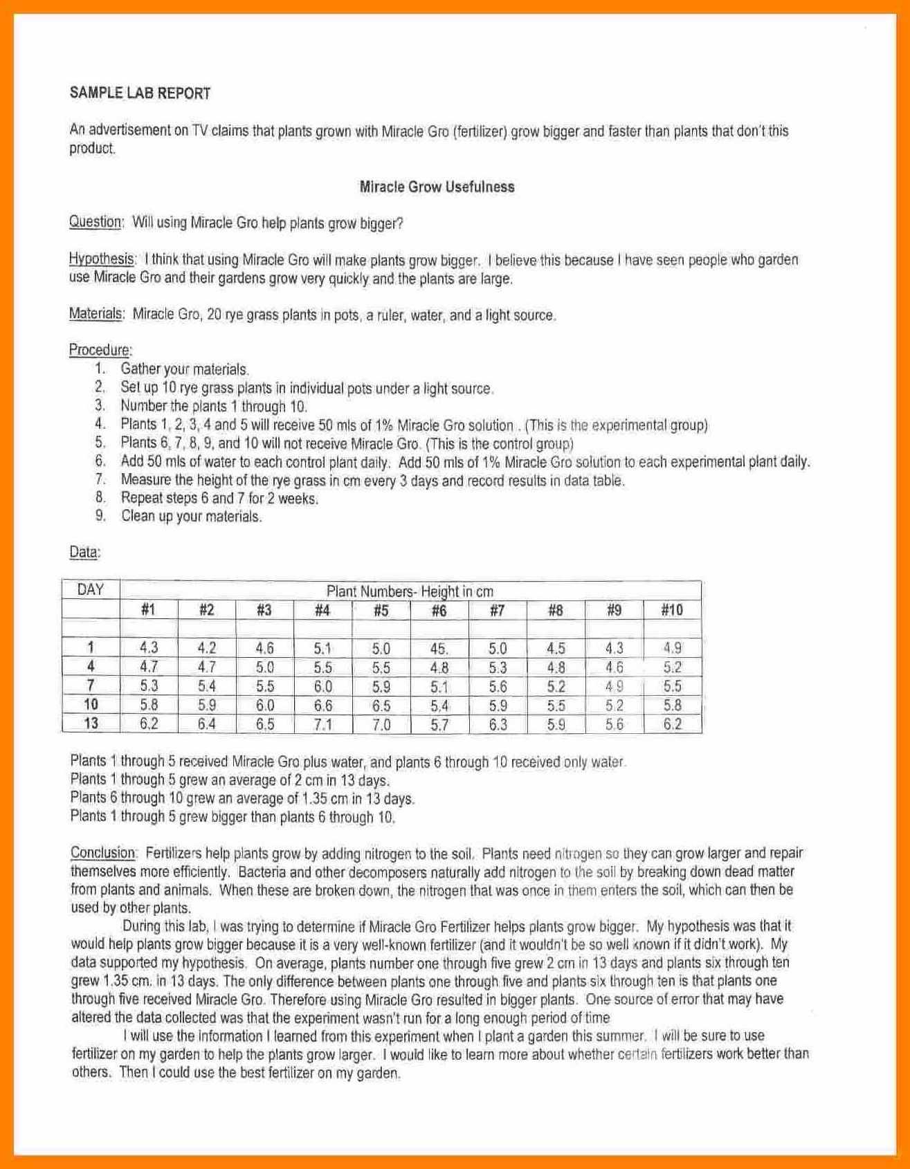 Report Examples Chemistry Lab Template Google Docs Format Pertaining To Lab Report Template Chemistry