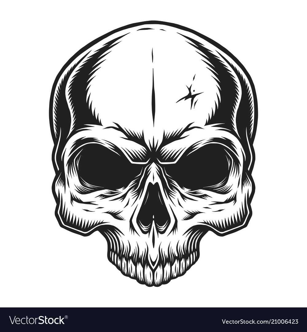Skull Template – Horizonconsulting.co Intended For Blank Sugar Skull Template