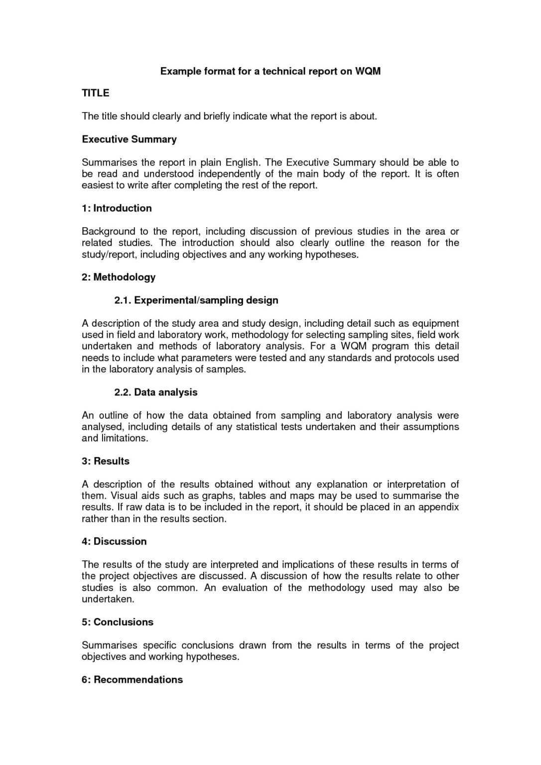 Technical Report Writing Template Word