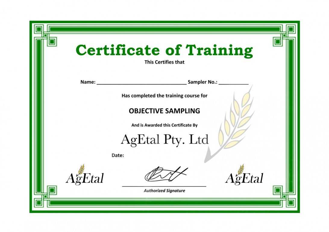 Training Certificate Sample Word Computer Template Doc Free Throughout Training Certificate Template Word Format