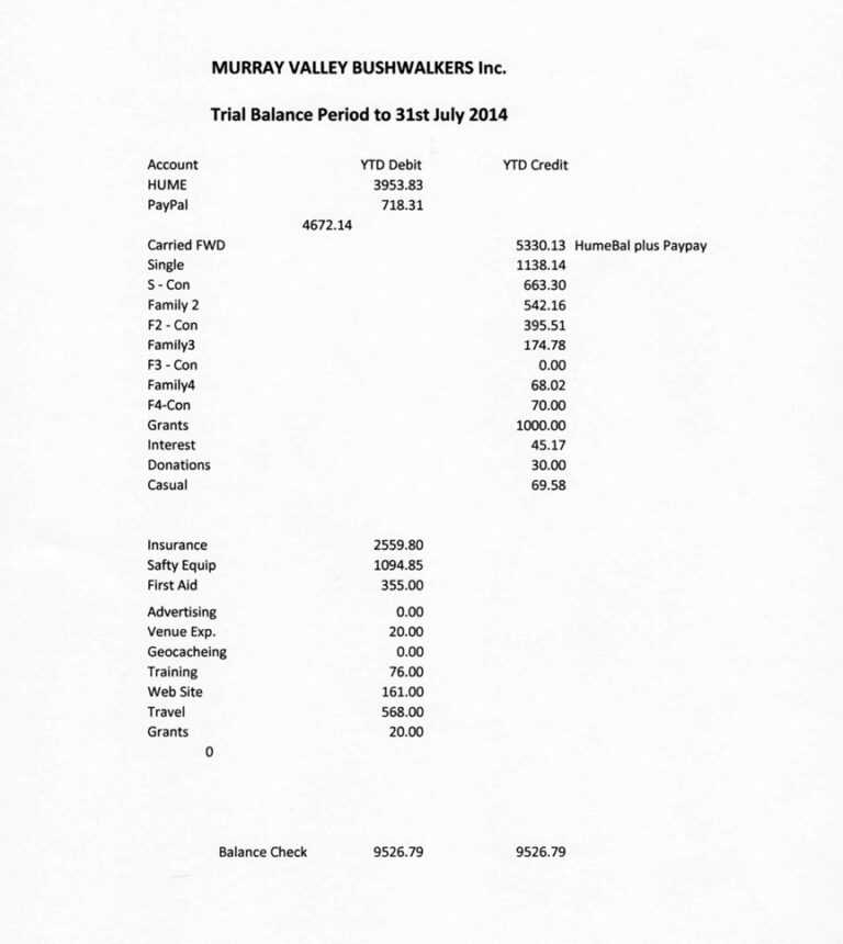 Treasurer's Report Agm Template