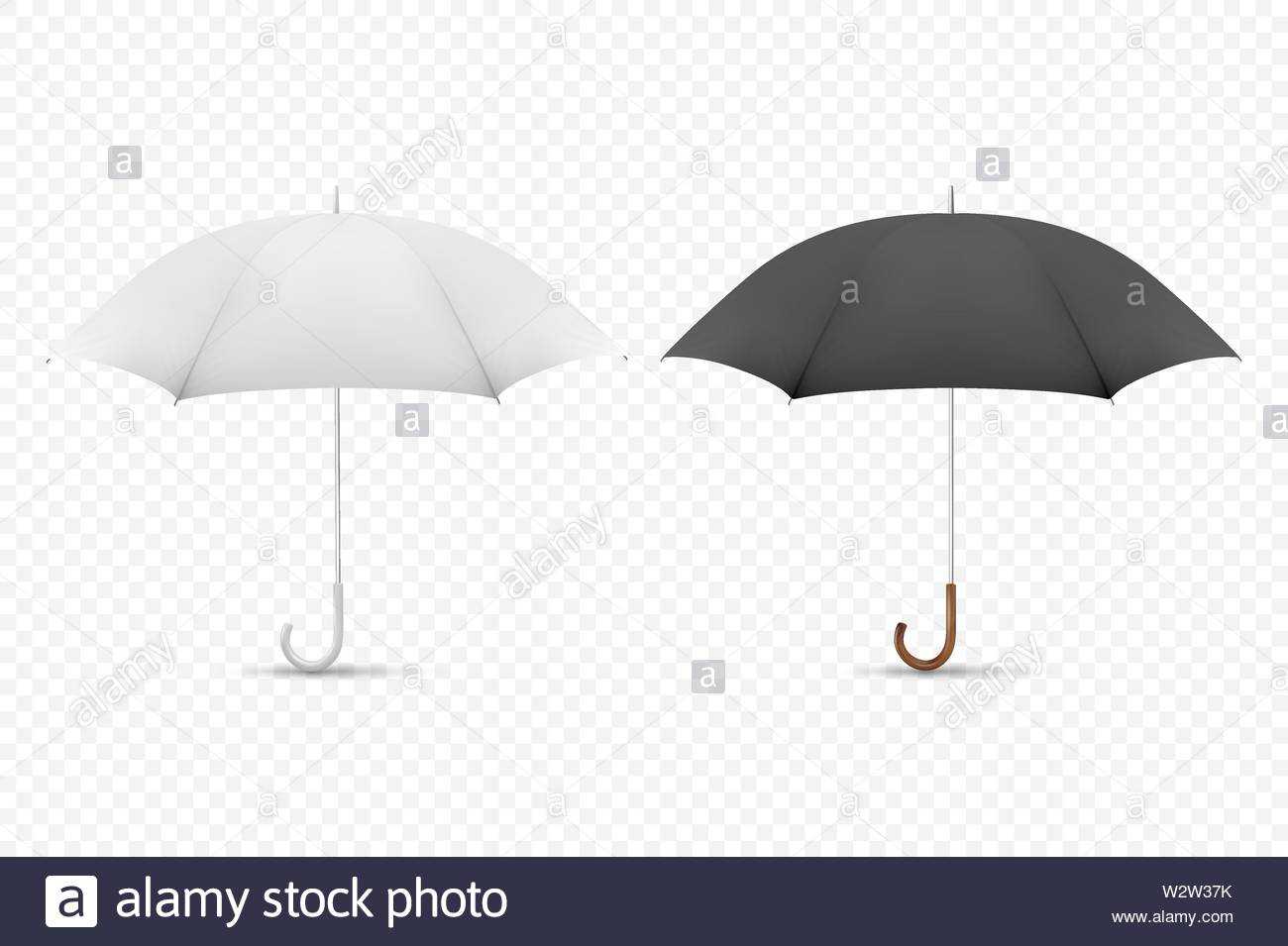 Vector 3D Realistic Render White And Black Blank Umbrella Within Blank Umbrella Template